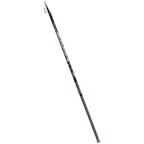 Linea Effe Orion Bolo Canna Bolognese 4 m 25 g