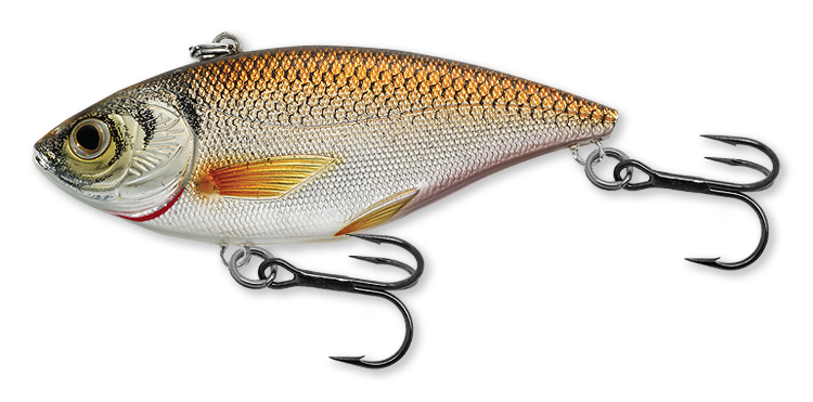 Livetarget Golden Shiner Rattlebait esca 2" 1/4 oz Silver Blue