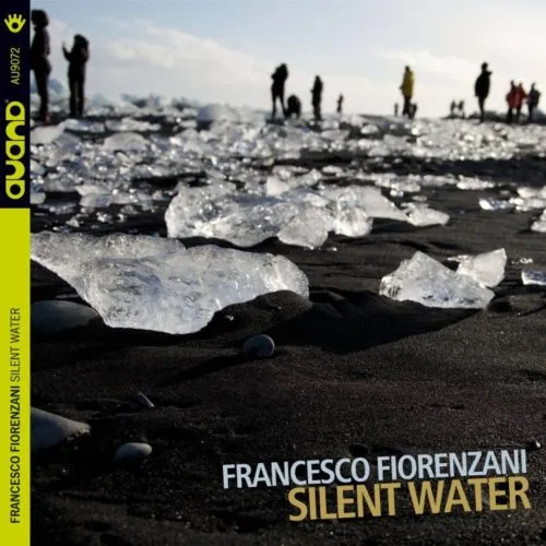 Albore AU9072 Silent Water CD Francesco Fiorenzani chitarra