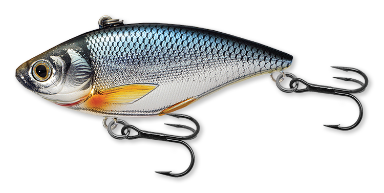 Livetarget Golden Shiner Rattlebait esca 2" 1/4 oz Silver Blue