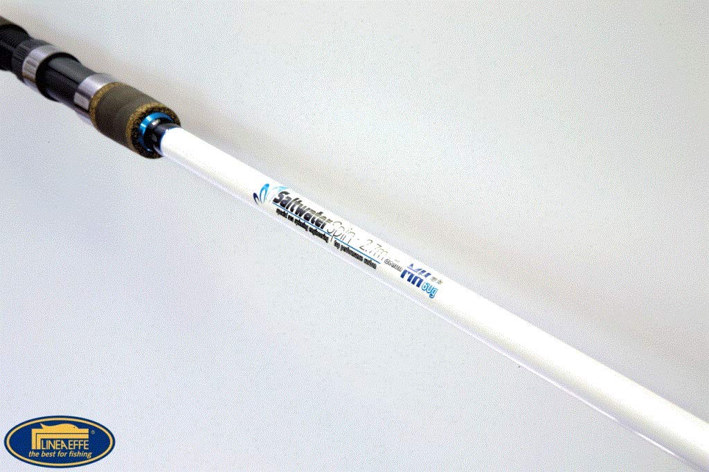 Linea Effe Saltwater Spinning 2,70 m 60 g canna mare
