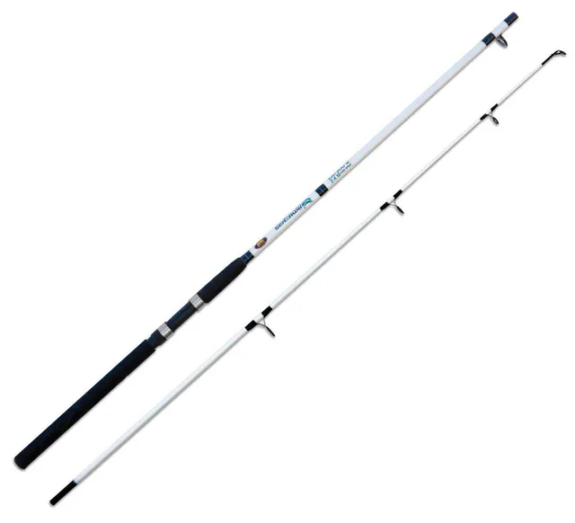 Lineaeffe Sea Hawk canna barca 3 m 100-300 g carbonio
