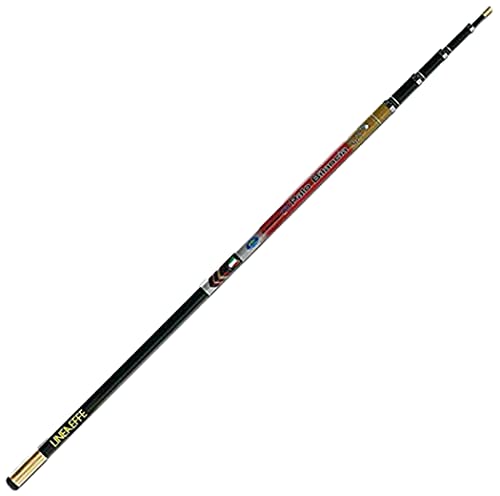 Linea Effe Palo Bilancia 6.30 m per Retino da Pesca