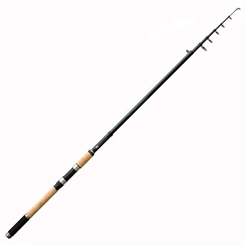 Lineaeffe Perch Telespin 2.70 m 20-40 g canna spinning