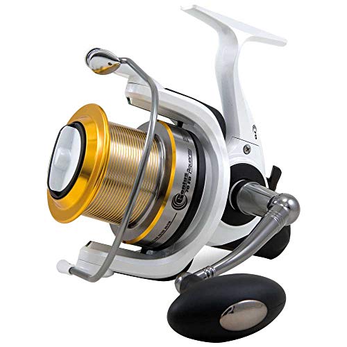 Lineaeffe Aquarex Genius 7000 Mulinello Fondo Surfcasting