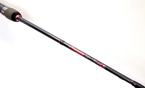 Linea Effe Freshwater Spinning 2,10 m Canna Spinning 20 g