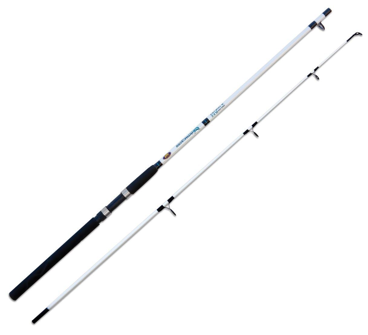 Lineaeffe Sea Hawk canna barca 3 m 100-300 g carbonio
