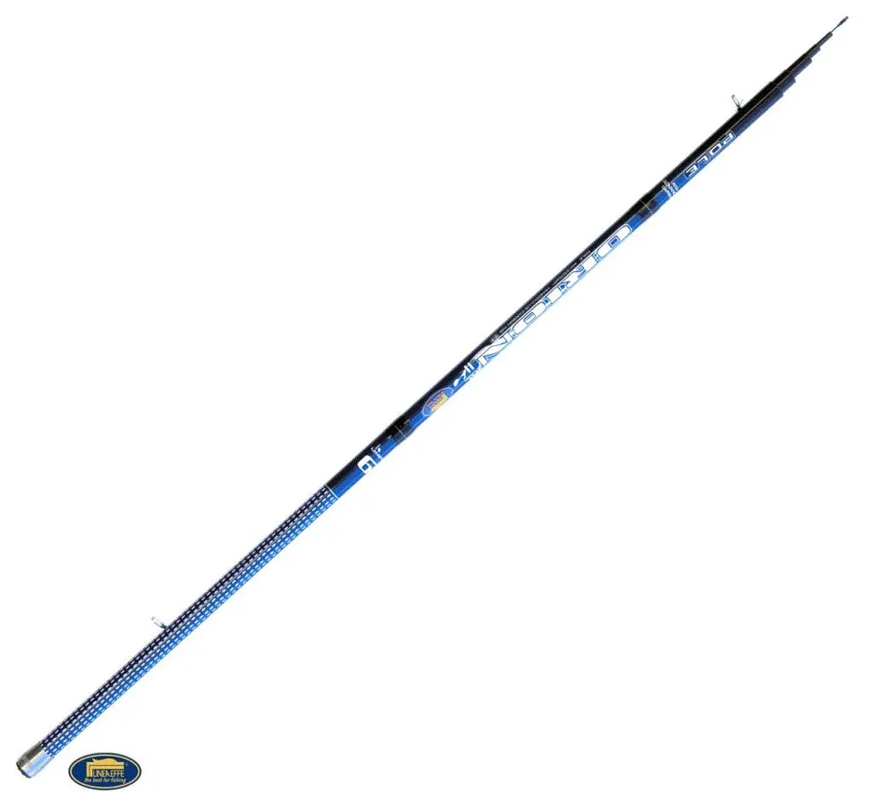 Lineaeffe Orion Pole 8 m canna fissa 25 g