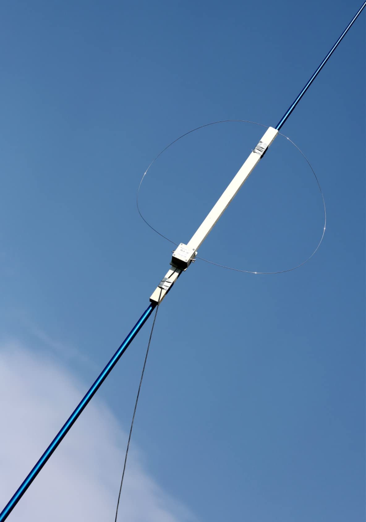Lineaeffe Delta Fissa canna telescopica vetro 5-20 g