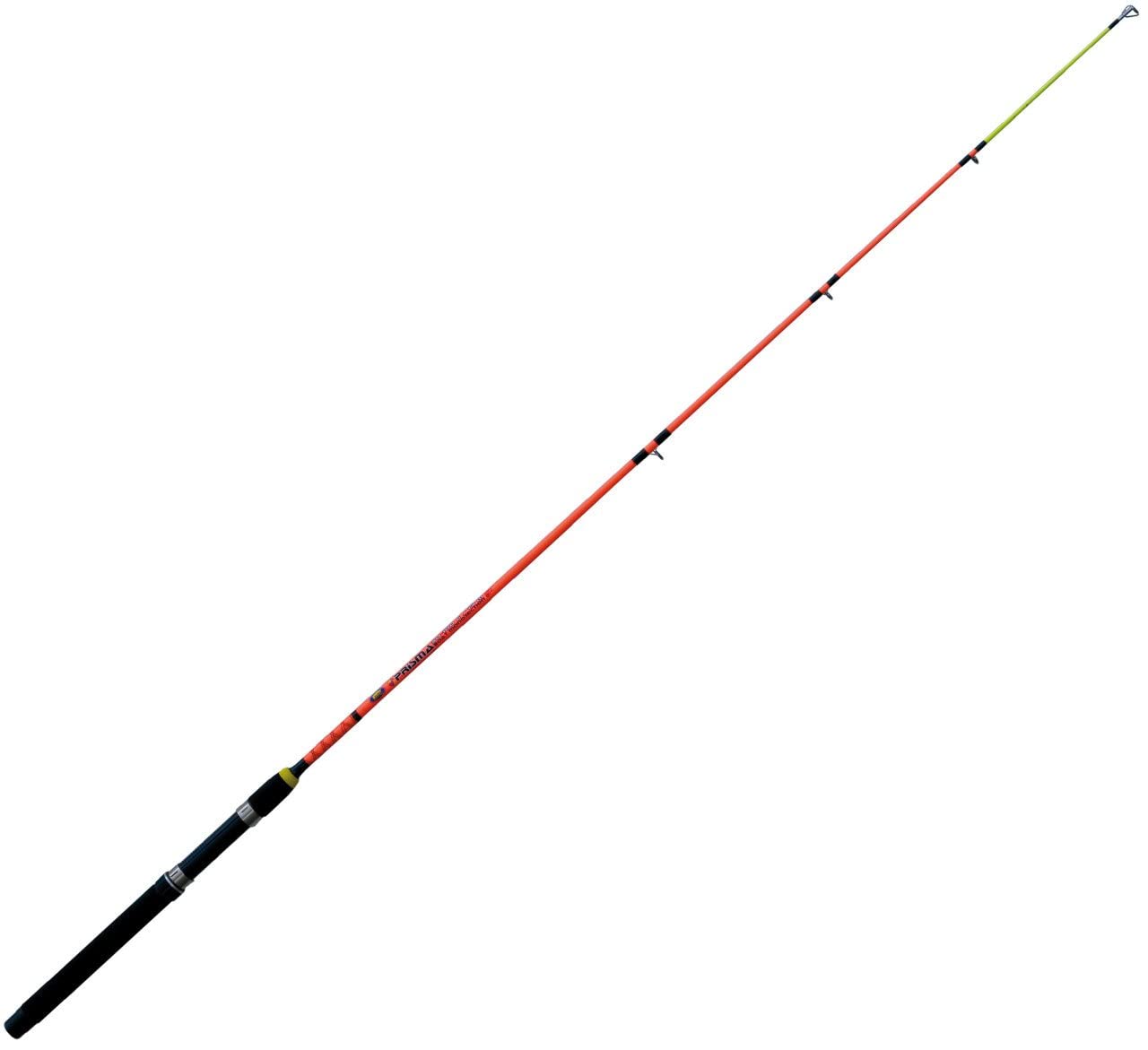 Lineaeffe Prisma Boat Mono 1.20 m 50-100 g canna barca
