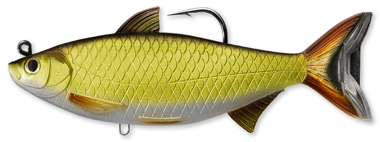 Livetarget Golden Shiner swimbait 14 cm Gold Black 1 3/4 oz