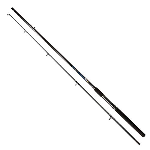 Linea Effe Vigor Spinn 2,40 m 60 g canna spinning predatori