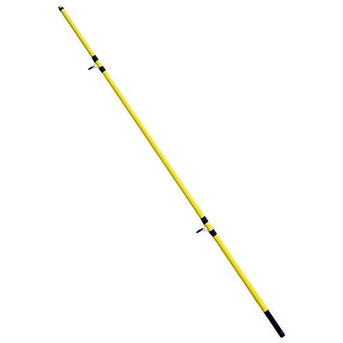 Lineaeffe Long Cast canna surfcasting 4.20 m 200 g