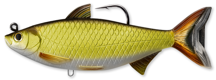 Livetarget Golden Shiner swimbait 14 cm Gold Black 1 3/4 oz