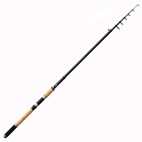 Lineaeffe Perch Telespin 2.70 m 20-40 g canna spinning