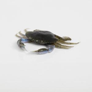 Savage Gear 3D Crab PVC esca granchio realistica