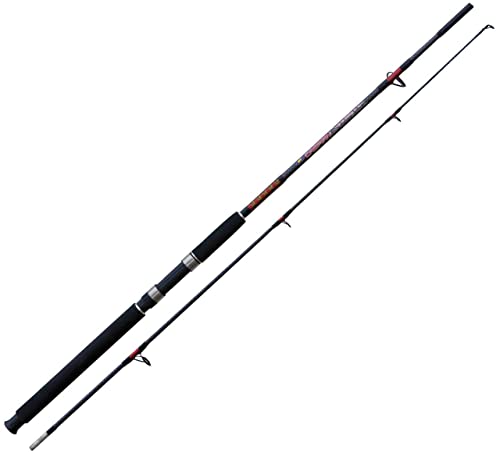 Linea Effe Caspian canna spinning 1,80 m 100-250 g predatori