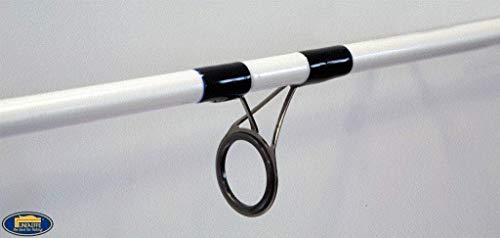 Linea Effe Saltwater Spinning 2,70 m 60 g canna mare