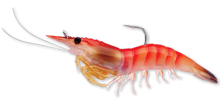 Livetarget Rigged Shrimp esca gambero 3" Sand Shrimp mare