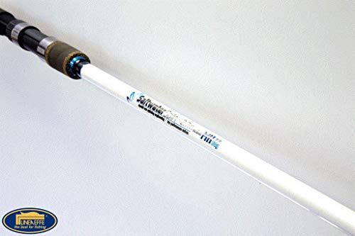Linea Effe Saltwater Spinning 2,70 m 60 g canna mare