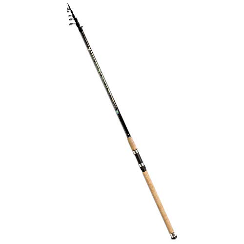 Linea Effe Toro Canna Inglese 4,50 m 120 g Carbonio Anelli Sic