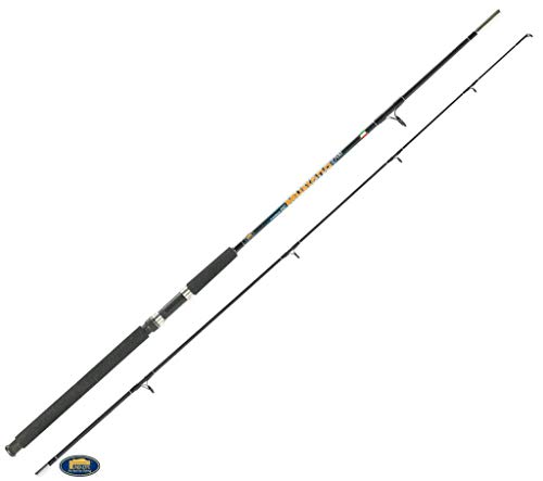 Linea Effe Mustang canna barca 2,40 m 100-250 g telescopica