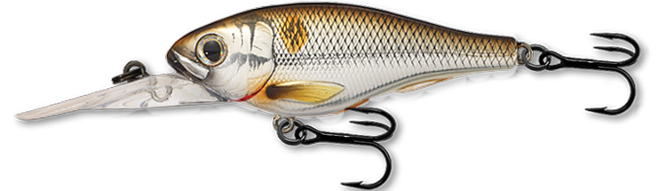 Livetarget Shad Crankbait crankbait 2 1/2" Silver Blue acqua dolce