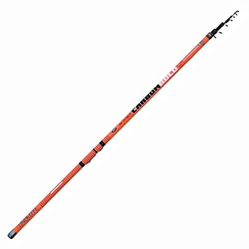 Lineaeffe Carbon Bolo Canna 5 m 25 g Bolognese