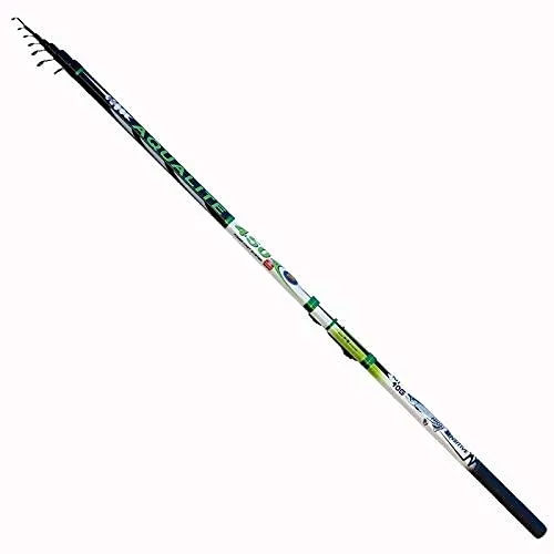 Lineaeffe Aqualite 5.40 m 10-40 g canna bolognese passata