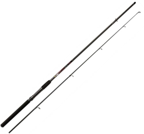 Linea Effe Vigor Spinn Canna Spinning 2,40 m 90 g