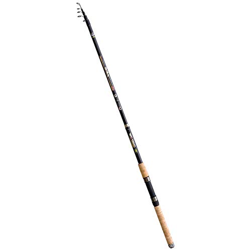 Lineaeffe Carbo Spin 2.40 m canna spinning 30-60 g predatori