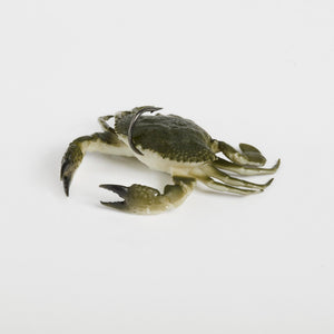 Savage Gear Toughtec Crab esca granchio aromatizzata mare