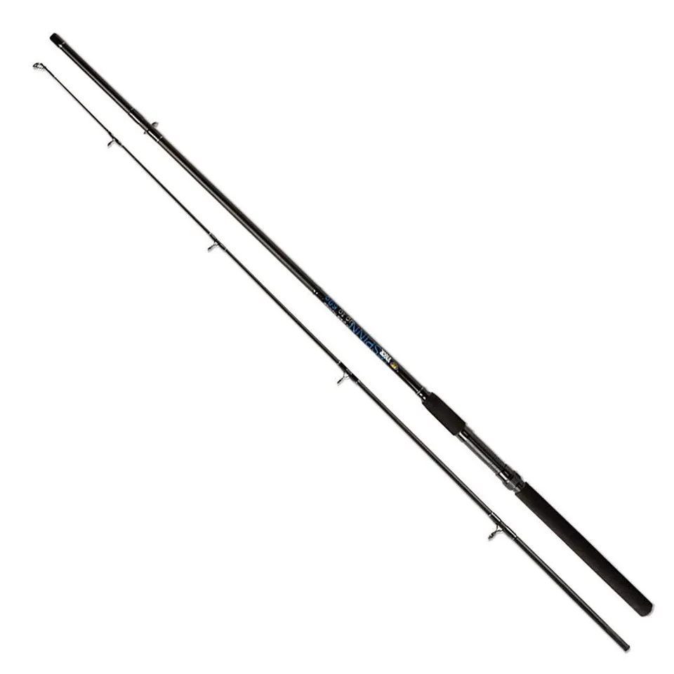 Linea Effe Vigor Spinn 2,40 m 60 g canna spinning predatori