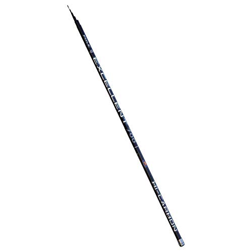 Linea Effe Excellent Pole Canna Fissa 6 m fino a 40 g