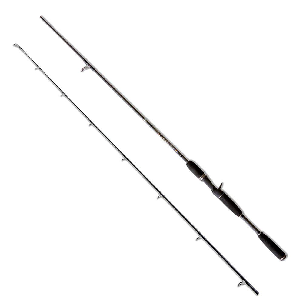 Lineaeffe Pro 1.95 m 60 g canna casting