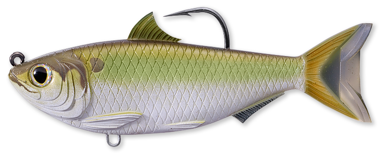 Livetarget Threadfin Shad Swimbait esca 3 1/2" Green Bronze