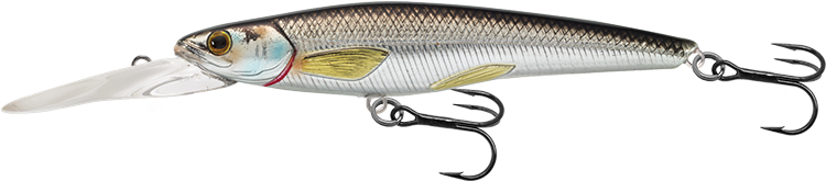 Livetarget Rainbow Smelt Jerkbait esca 3 5/8" Silver Blue