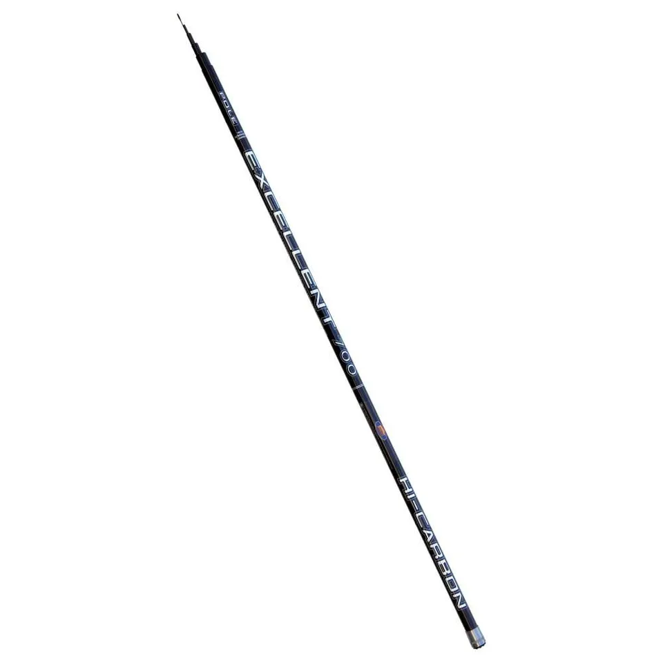 Linea Effe Excellent Pole Canna Fissa 6 m fino a 40 g