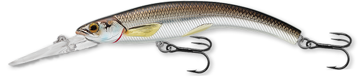 Livetarget Rainbow Smelt Banana Bait esca 3 5/8" Deep Dive