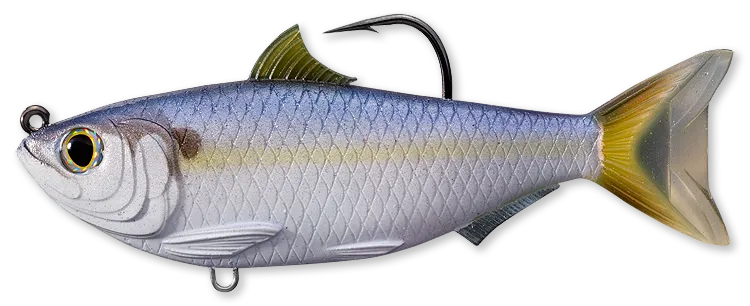 Livetarget Threadfin Shad Swimbait esca 3 1/2" Green Bronze
