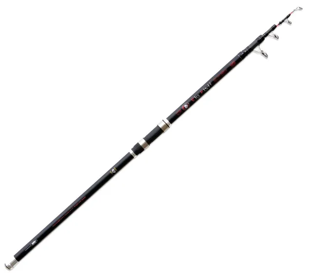 Linea Effe Big Fish 3.30 m 350 g canna siluro storione