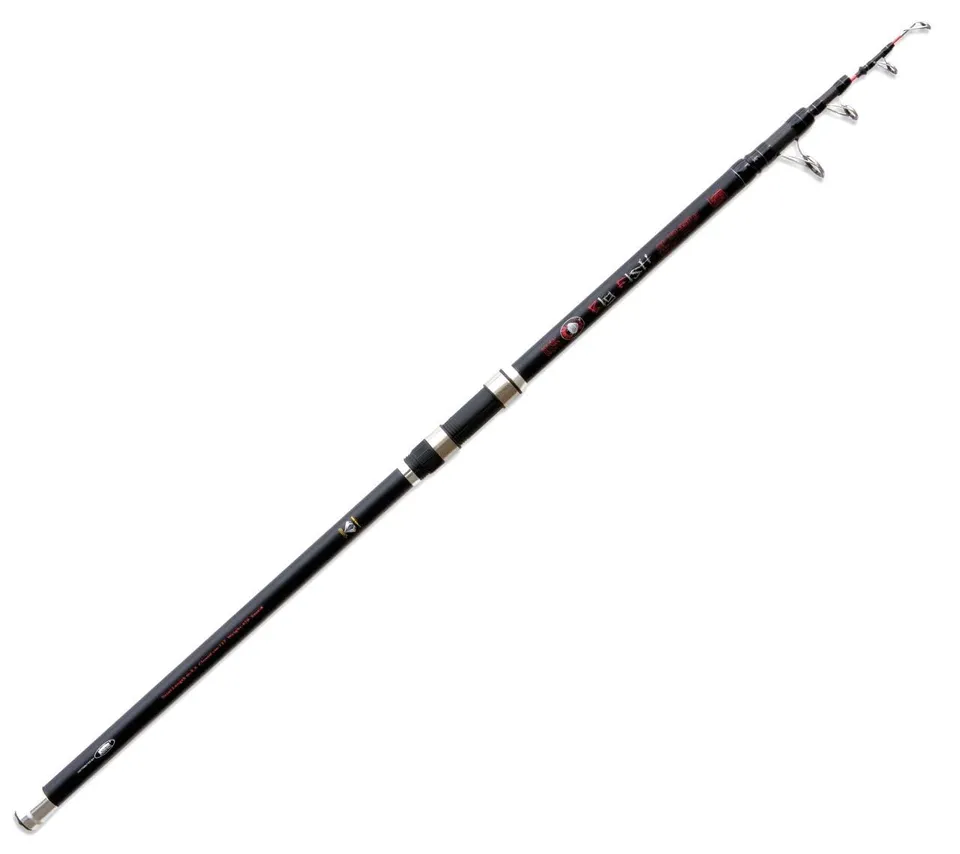 Linea Effe Big Fish 3.30 m 350 g canna siluro storione