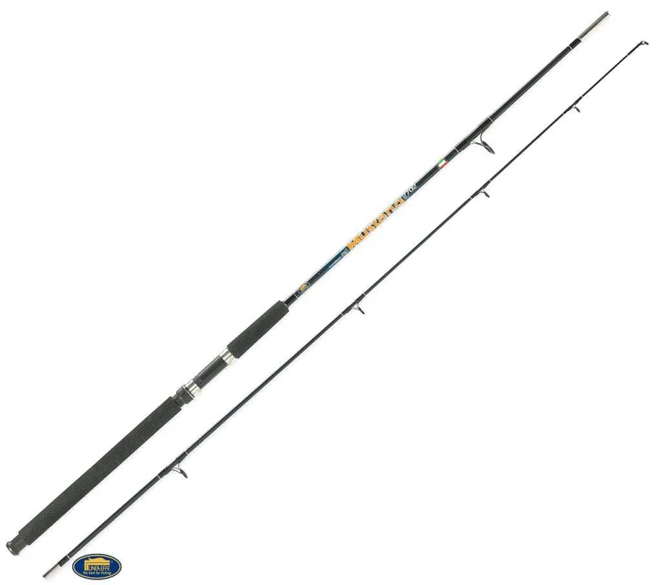 Linea Effe Mustang canna barca 2,40 m 100-250 g telescopica