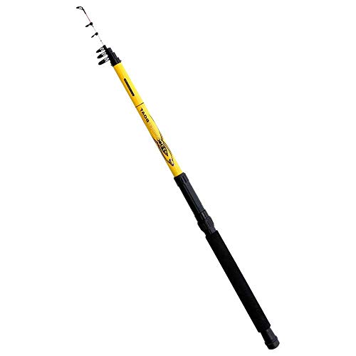 Lineaeffe Spider Boat canna barca telescopica 40-120 g
