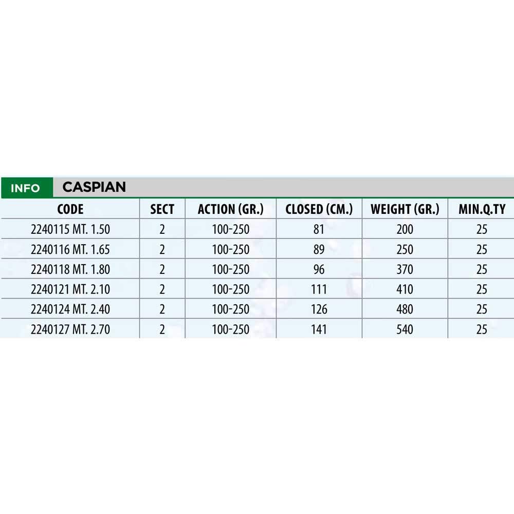 Lineaeffe Caspian 2.70 m 100-250 g canna spinning