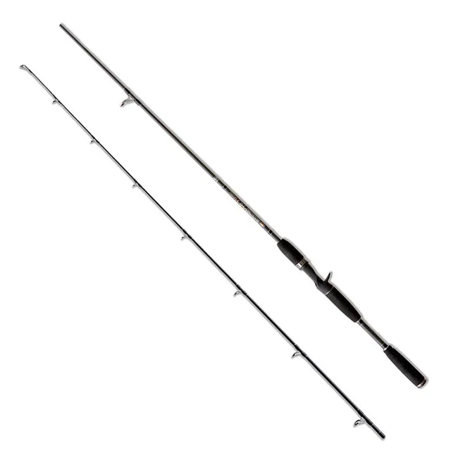 Lineaeffe Pro 1.95 m 60 g canna casting