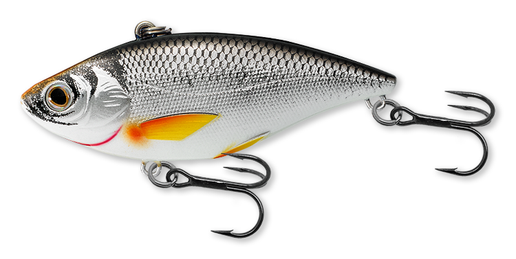 Livetarget Golden Shiner Rattlebait esca 2" 1/4 oz Silver Blue
