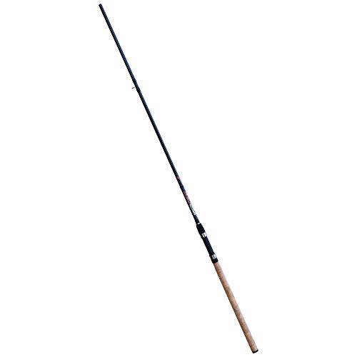 Lineaeffe TS Match Plus 4,20 m canna inglese fino 30 g