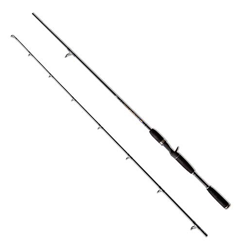 Lineaeffe Pro 1.95 m 60 g canna casting