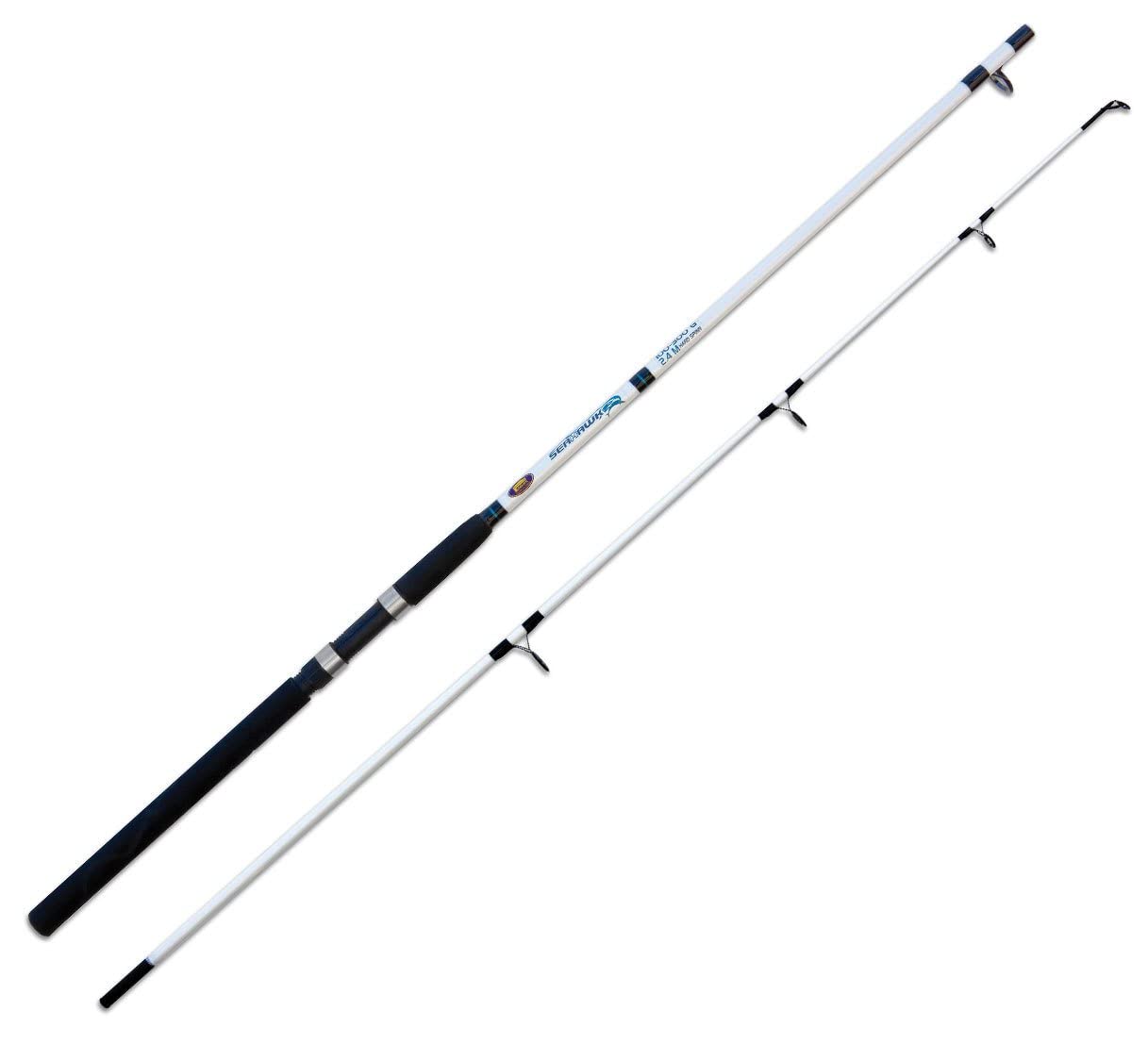 Lineaeffe Sea Hawk canna barca 3 m 100-300 g carbonio